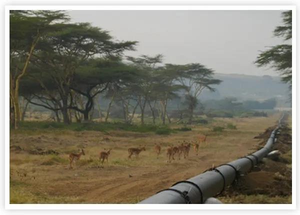 1618277495279898.jpg 1618277495279898.jpg