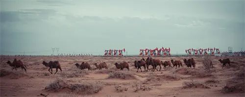 1687221966546496.jpg 640 (59).jpg