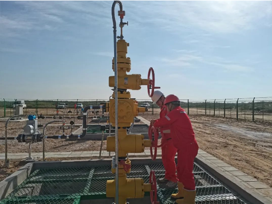 1695612422922586.png 1695612422922586.png